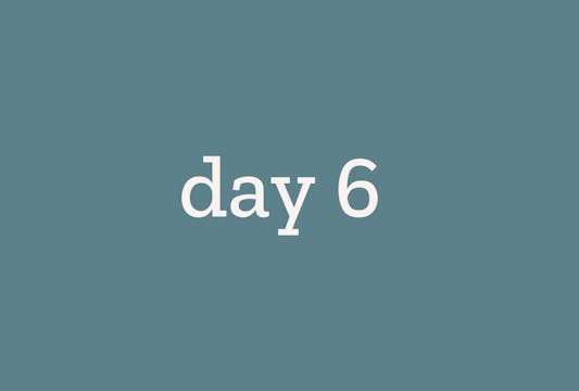 Day 6
