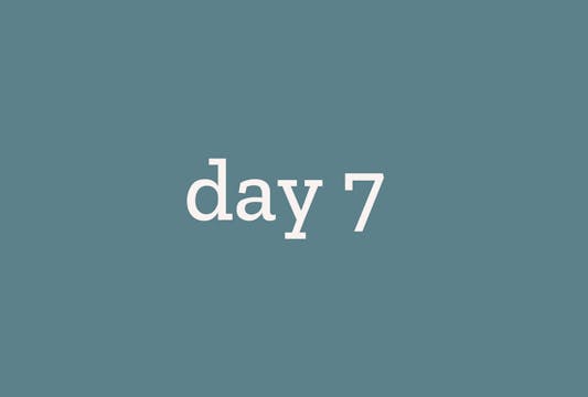 Day 7