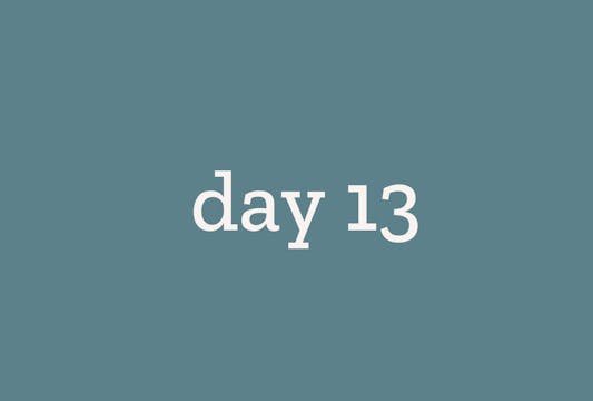 day 13