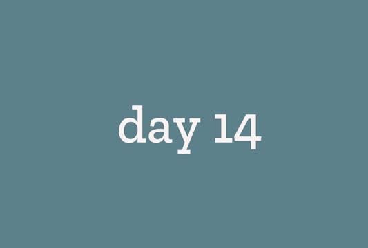 day 14