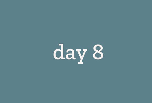 Day 8