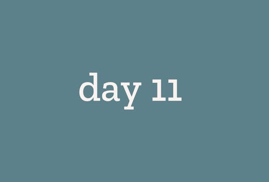 Day 11
