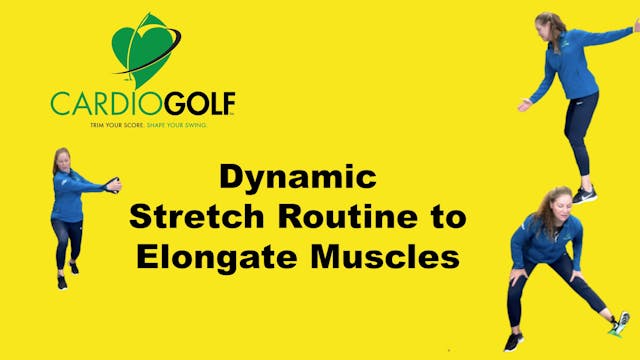 10-min Dynamic Stretch Routine to Elo...