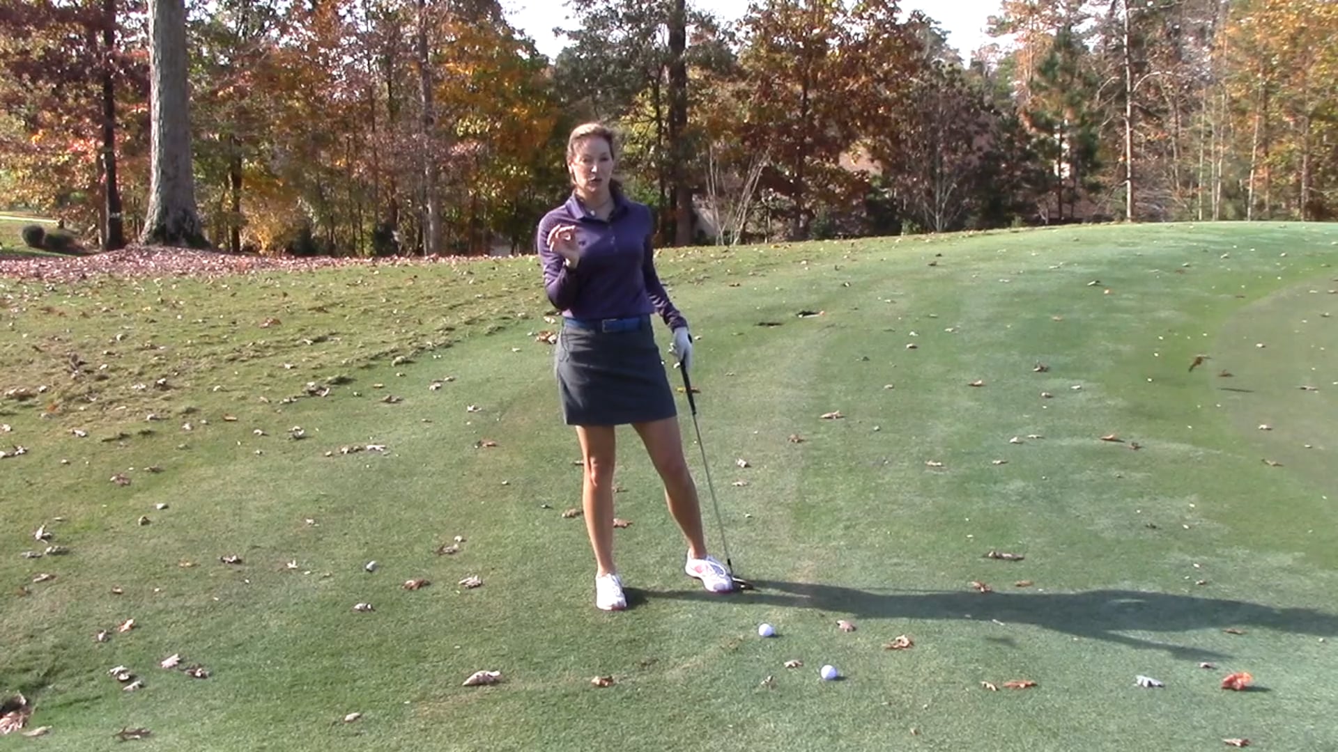 1:46 min Chipping Stance and Technique