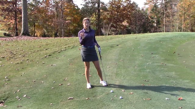1:46 min Chipping Stance and Technique