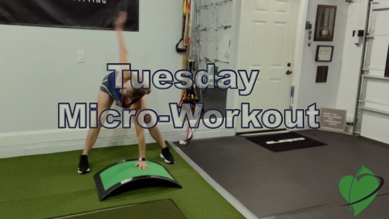 10-min Tuesday Daily Dose (Micro-Workout)