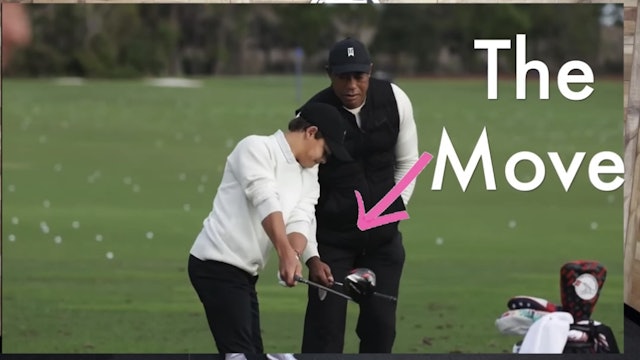 The Move Tiger Teaches