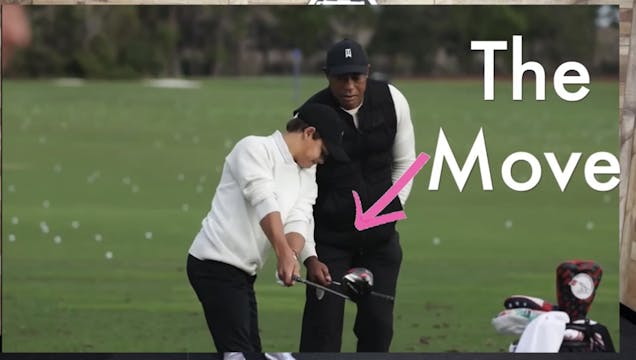 The Move Tiger Teaches