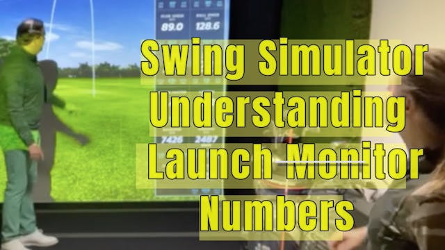 What do Swing Simulator Numbers Mean