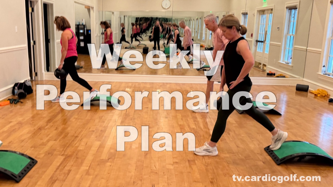 Weekly Performance Plan