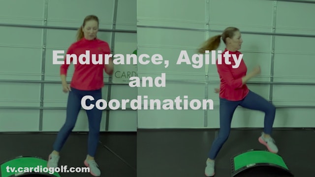 10-min Endurance, Agility and Coordination Workout (043)