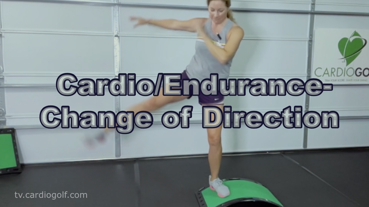 10-min Cardio/Endurance-Change of Direction Workout (040)
