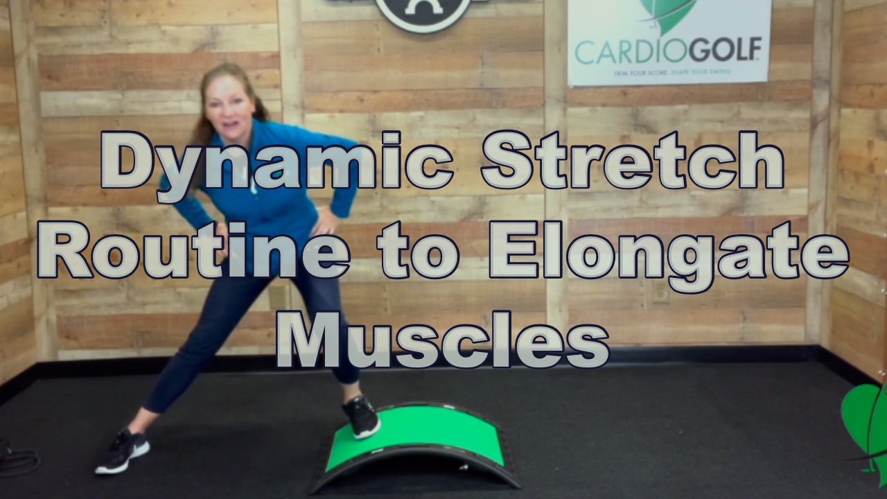 10-min Dynamic Stretch Routine to Elongate Muscles