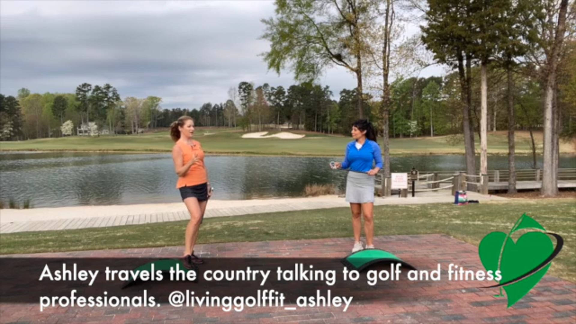 The CardioGolf 23 inch “Shortee” Practice Training Club