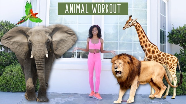 The Animal Workout