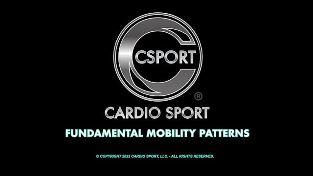 Fundamental Mobility Patterns