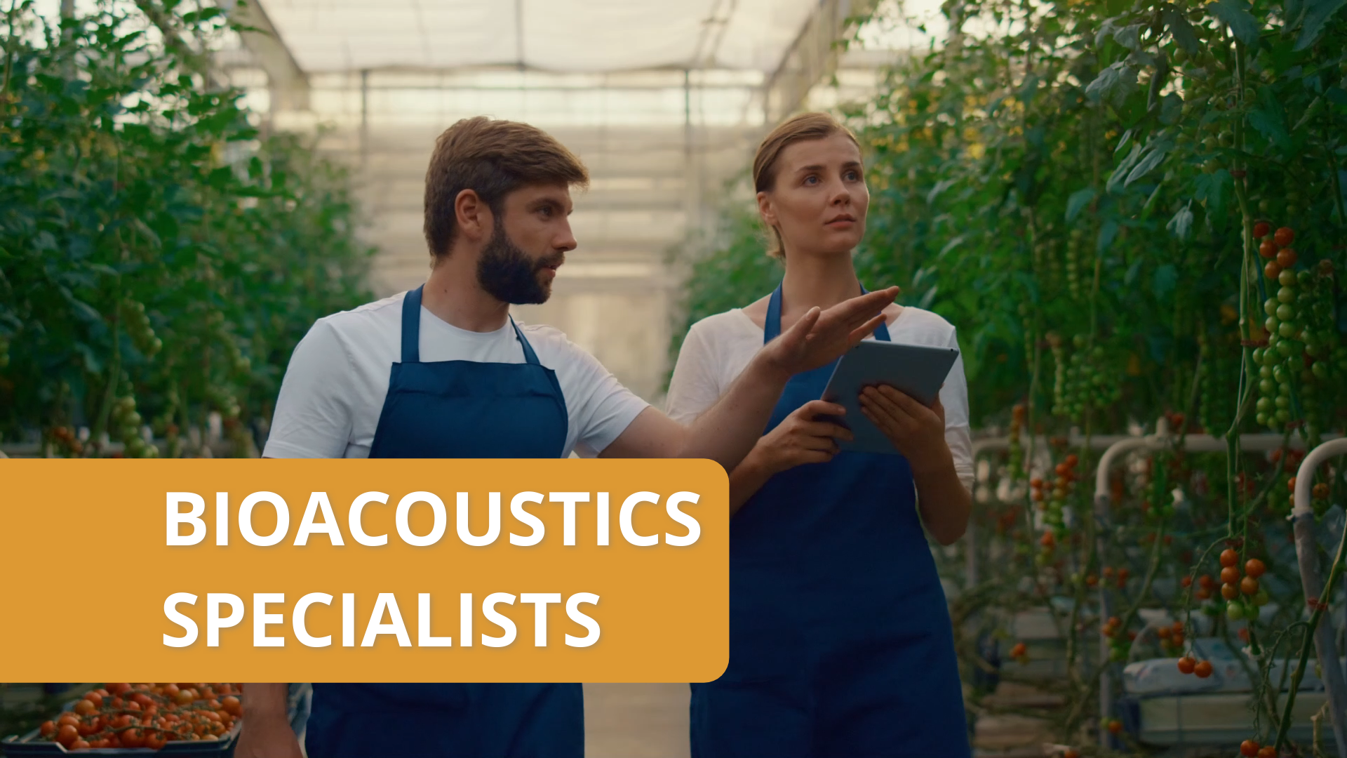 Bioacoustics specialist (#1)