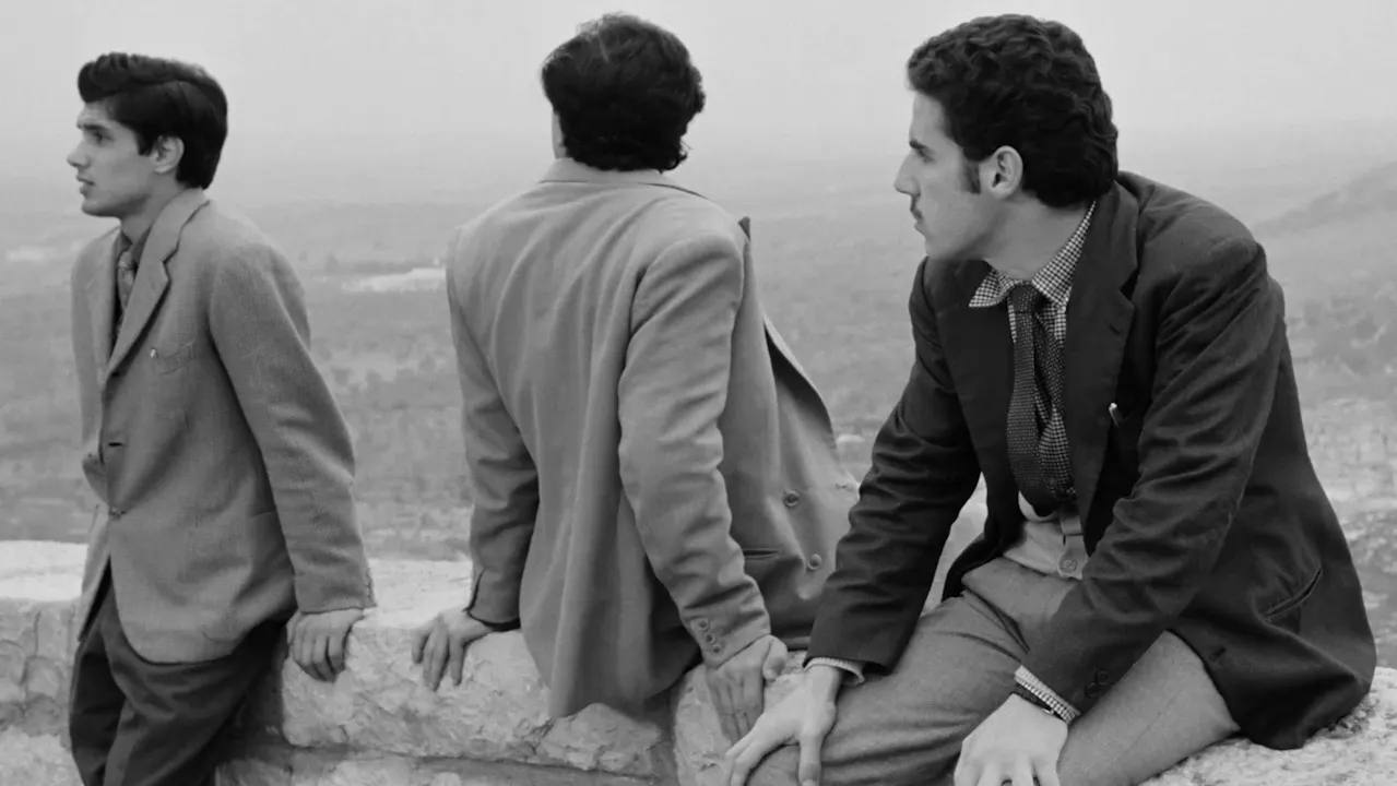 Horaires Des Séances Du Film I Basilischi