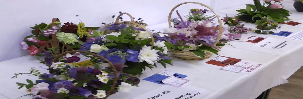  Flower, food & craft displays at our local show