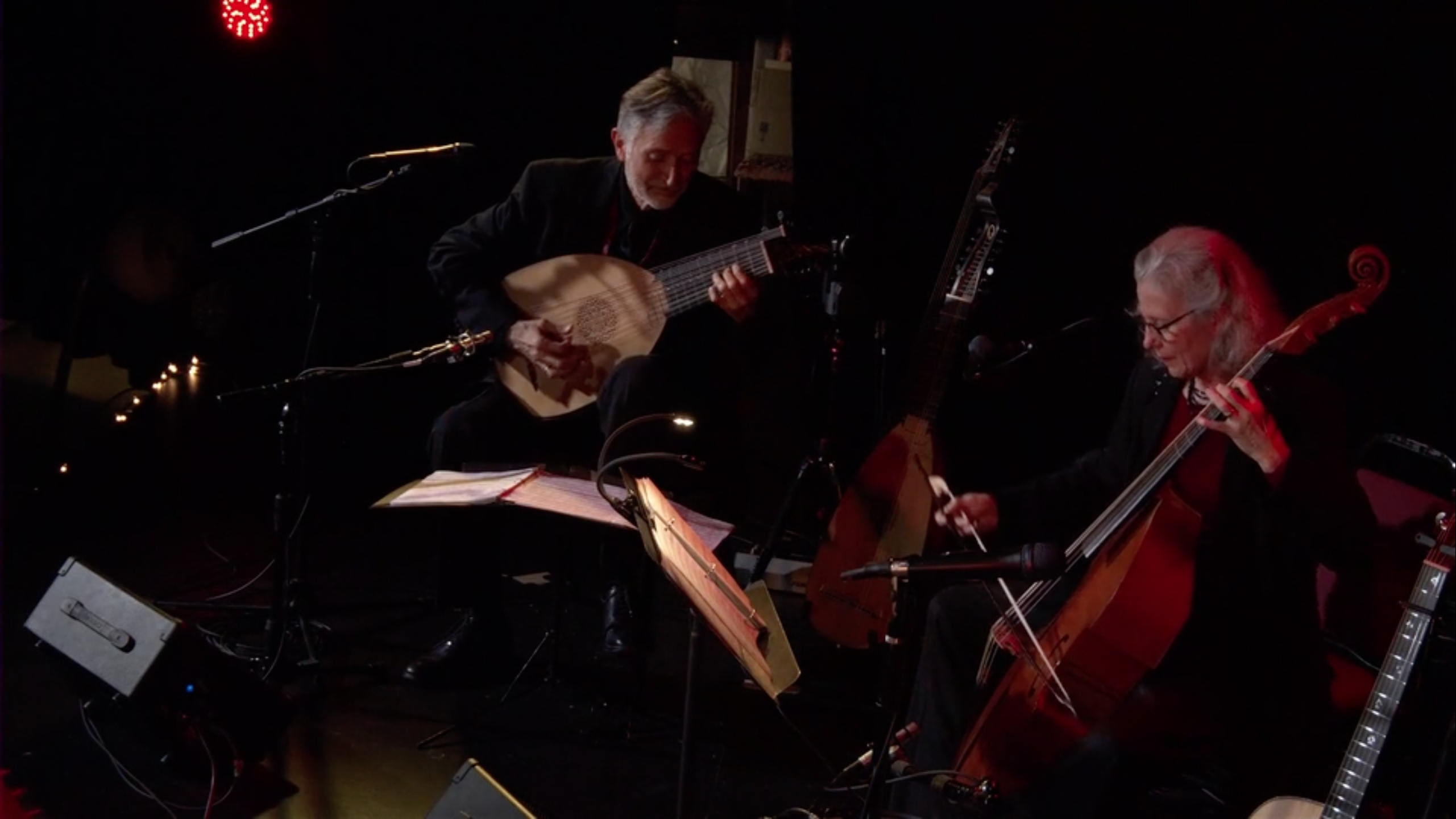 Carolina Celtic: Ronn McFarlane and Carolyn Surrick