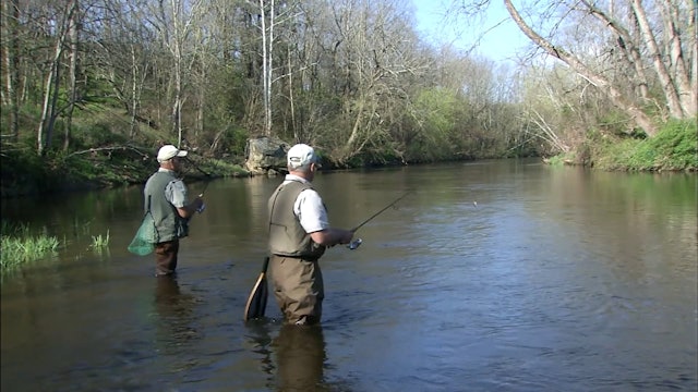 Pigeon River Return - S3E10