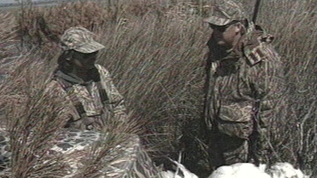 Coastal Snow Goose Hunt - Classic S2E20