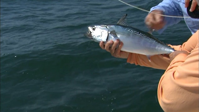 On The Fly - Cape Lookout - S3E04