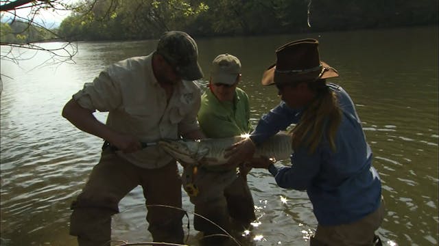 Muskie Search - S1E17