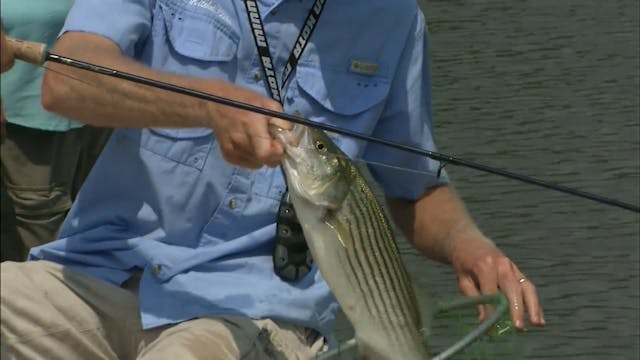 Hot Summer Stripers - S3E14