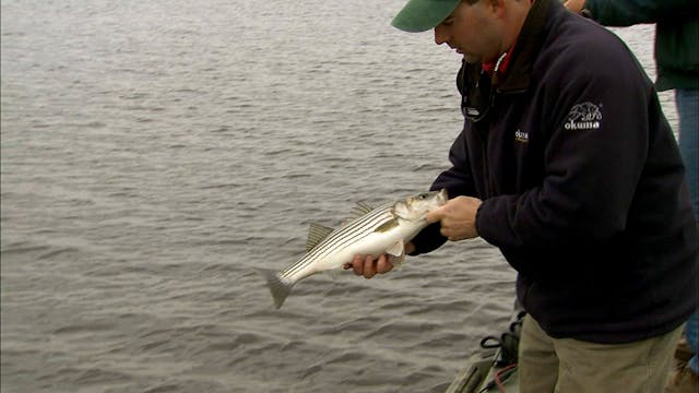 Early Spring Stripers - S6E24