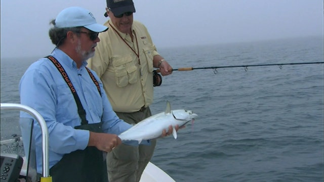Albacore On The Fly - S5E4