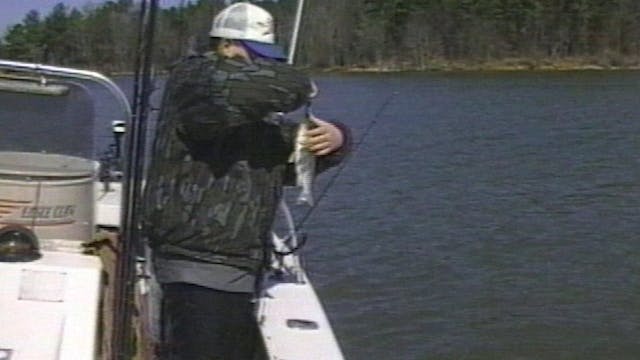Perch Fishing - Classics S8E22