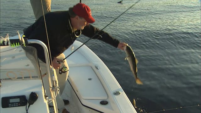 Stripers on Top - S1E08