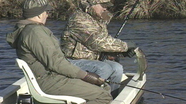 Cold Water Bassin - Classics S4E22