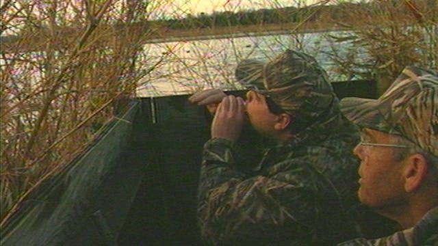 Shallow Water Pintails - Classics S6E11