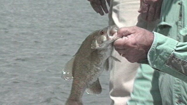 Fontana Smallmouth and Walleye - Clas...