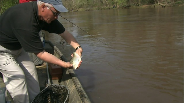 Fast Water Shad - S4E10