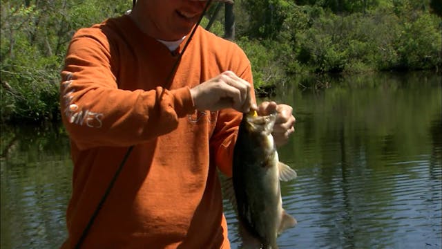 Bass’n with Frogs - S1E25
