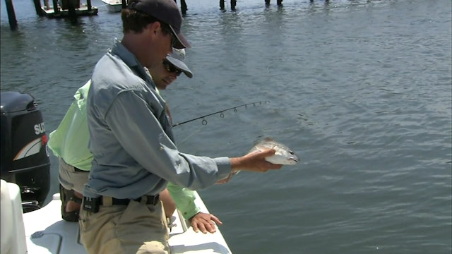 Structured Redfish - S4E19