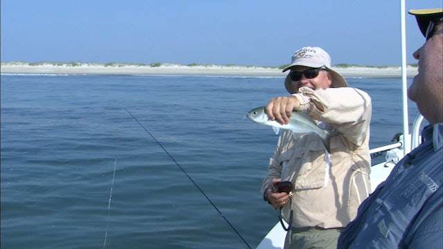 Bluefish on the Fly - S2E14