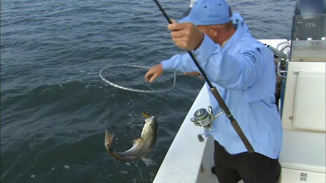 Top Water Red Drum - S2E23
