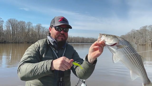 Cold Weather Fishing For Striped Bass...