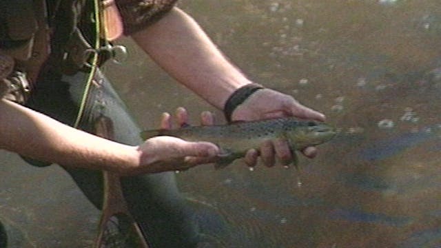 Mountain Trout Fishing - Classics S8E4
