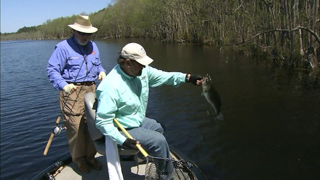 Spring Top Water Bass - S2E10