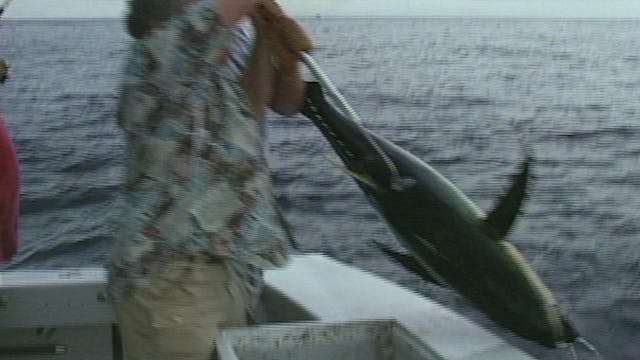 High Speed Tuna - Classics S6E14