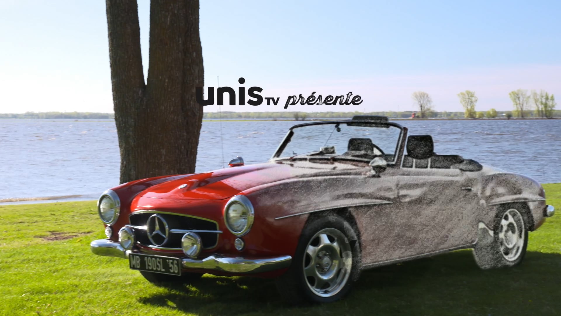 Survivantes insolites