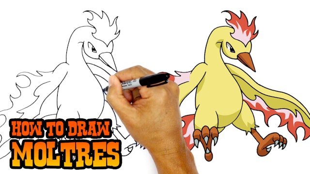 How to Draw Moltres | Pokemon