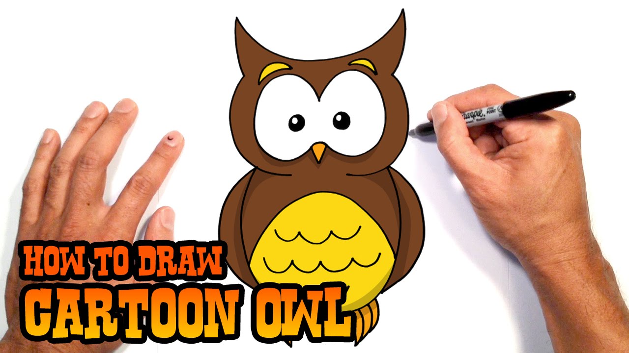 How to Draw a Cartoon Owl