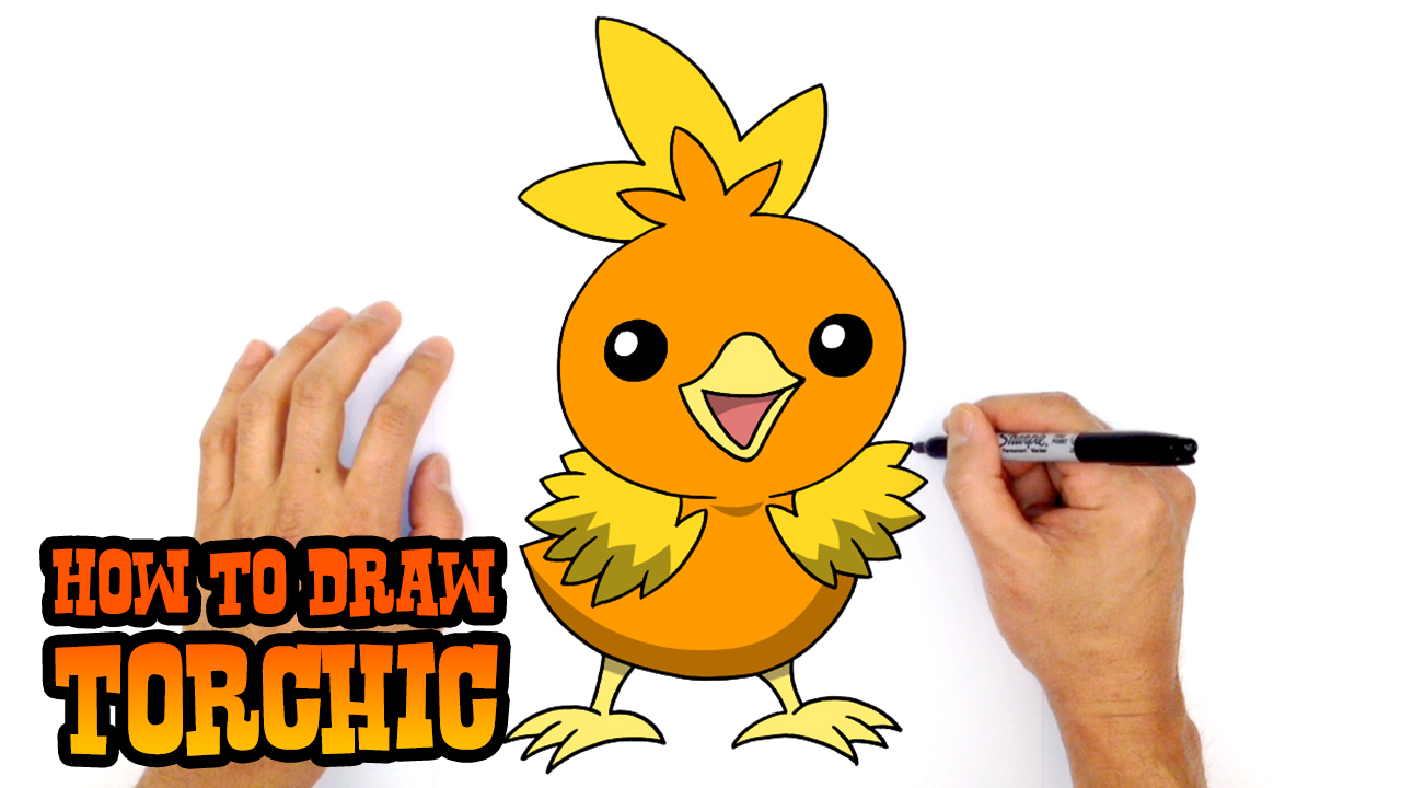 How to Draw Torchic | Pokemon