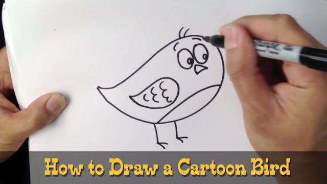 How to Draw a Cartoon Bird